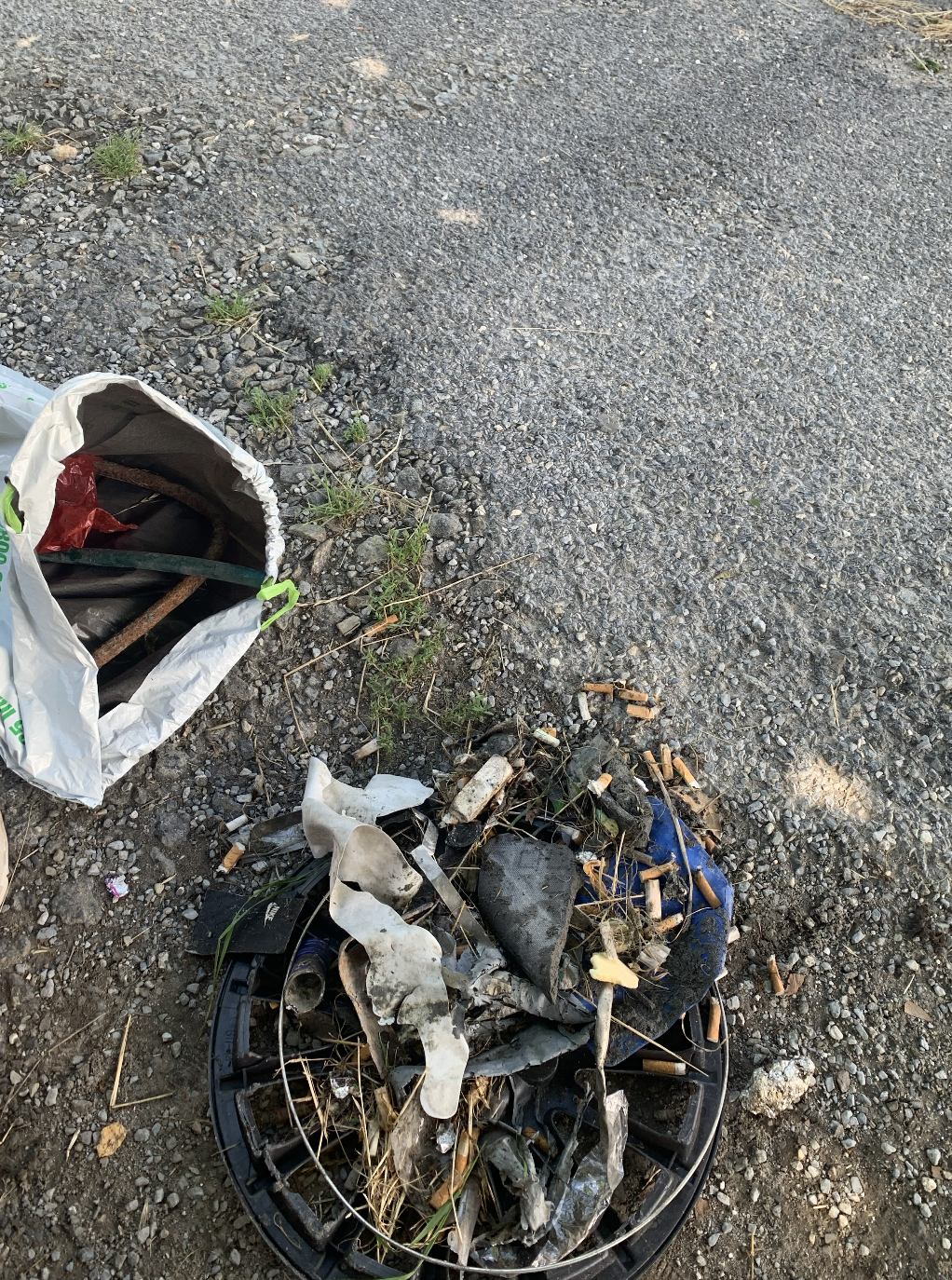 Rhone cleanup